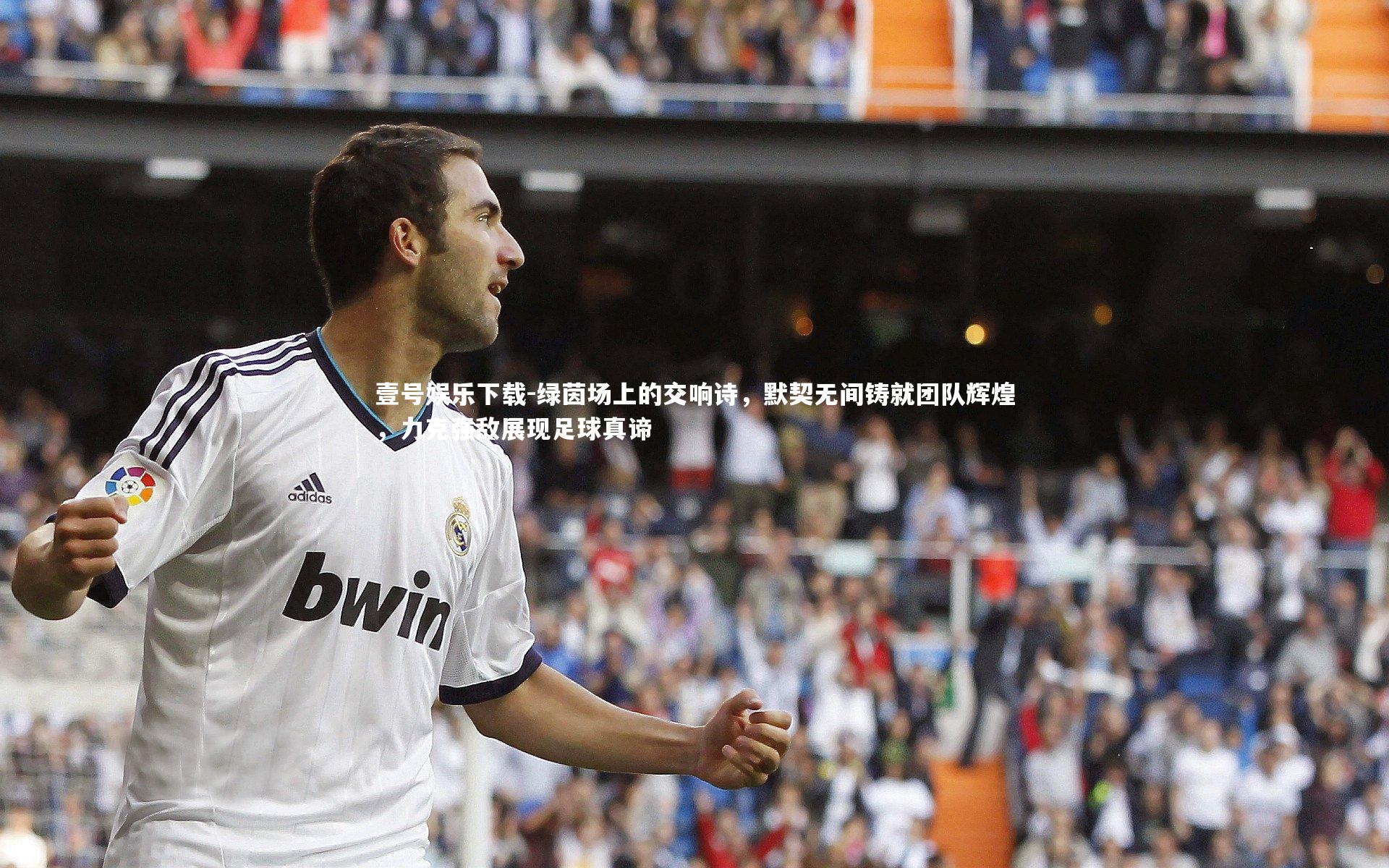 绿茵场上的交响诗,默契无间铸就团队辉煌,力克强敌展现足球真谛